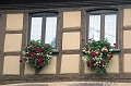 Fenetres fleuries